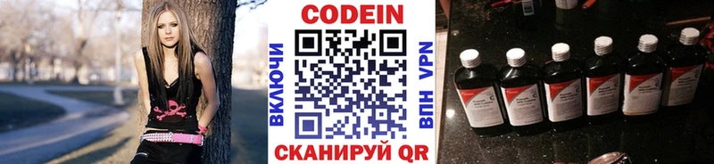 Codein напиток Lean (лин)  дарк нет наркотические препараты  Елец 