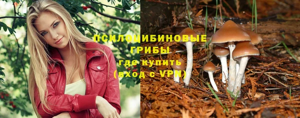 героин Алзамай
