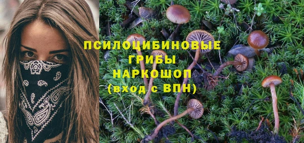 мяу мяу мука Алексеевка