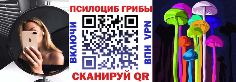 наркошоп  Елец  Псилоцибиновые грибы GOLDEN TEACHER 